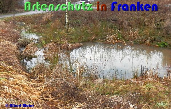 Bild zum Eintrag (53584-160)