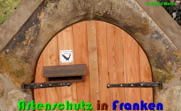 Copyright AiS Albert Meier Bild zum Eintrag (54120-160)