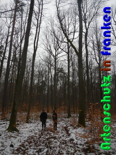 Bild zum Eintrag (54454-160)