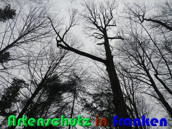 Bild zum Eintrag (54456-160)