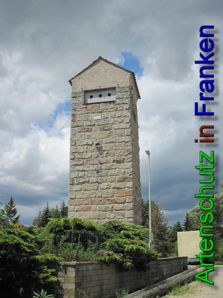 Copyright AiS Klarmann Bild zum Eintrag (54650-160)