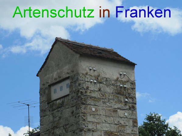 Copyright AiS Klarmann Bild zum Eintrag (54654-160)