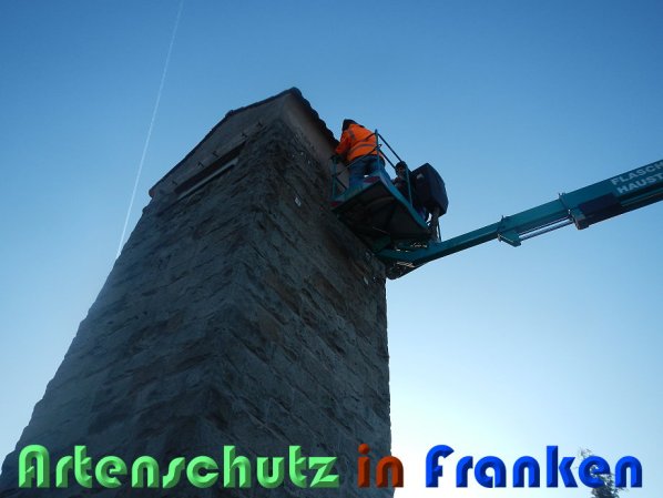 Bild zum Eintrag (54683-160)