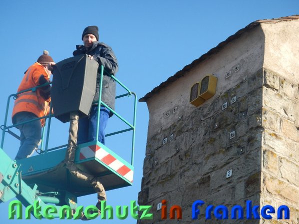Bild zum Eintrag (54684-160)