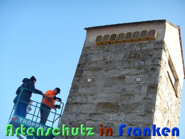 Bild zum Eintrag (54685-160)