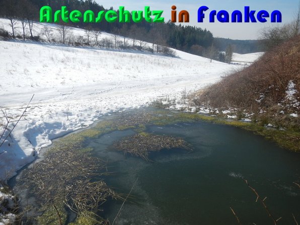 Bild zum Eintrag (55009-160)