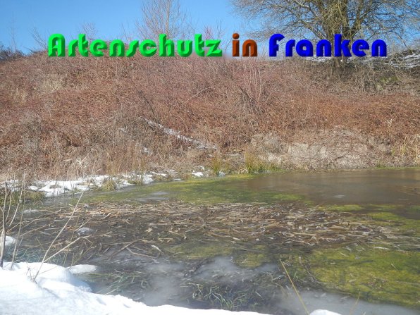 Bild zum Eintrag (55010-160)