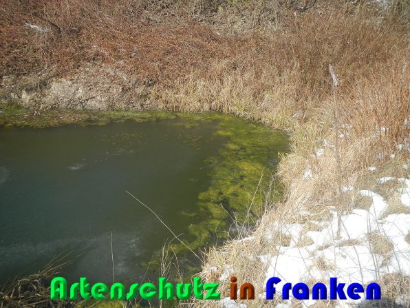 Bild zum Eintrag (55011-160)