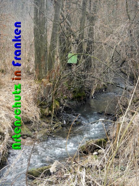Copyright AiS Berger Bild zum Eintrag (56177-160)