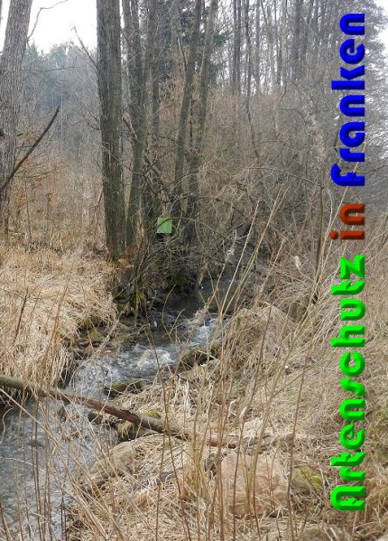 Copyright AiS Berger Bild zum Eintrag (56178-160)