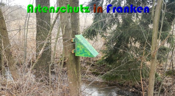 Copyright AiS Berger Bild zum Eintrag (56179-160)