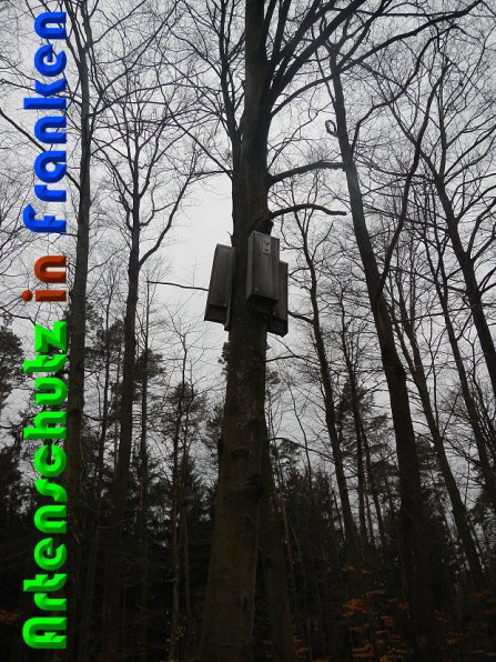 Copyright AiS Schaller Bild zum Eintrag (56251-160)