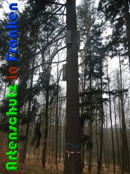 Copyright AiS Schaller Bild zum Eintrag (56252-160)