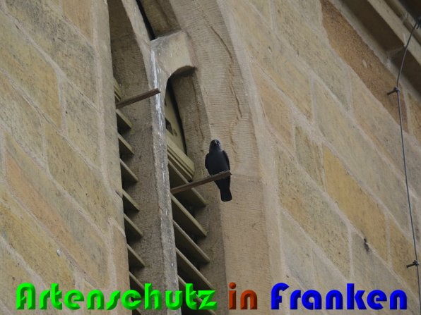 Bild zum Eintrag (56338-160)