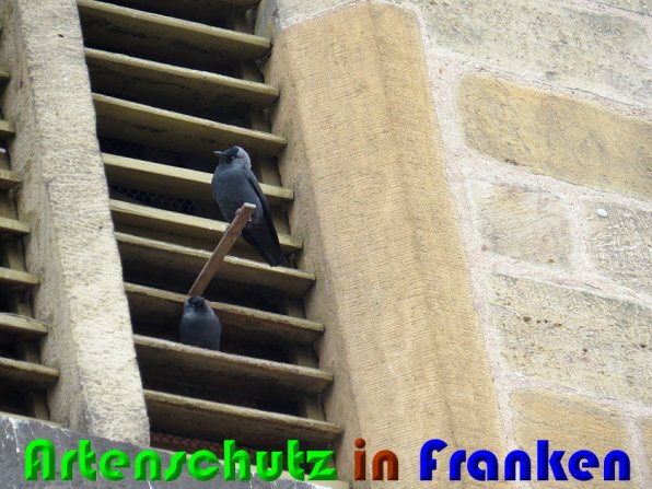 Bild zum Eintrag (56346-160)