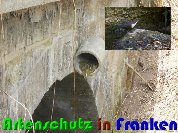 Copyright AiS Rother - Lang Bild zum Eintrag (56399-160)