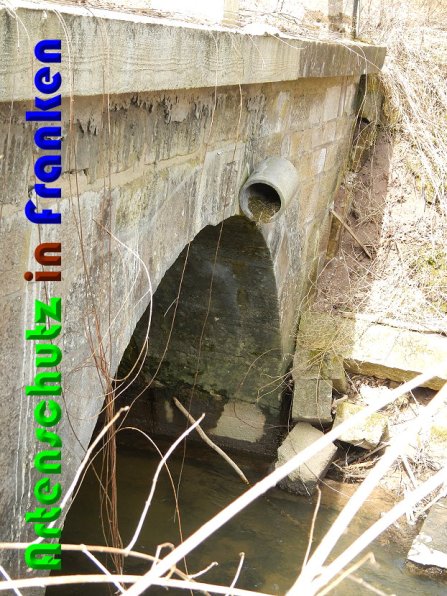 Copyright AiS Lang Bild zum Eintrag (56400-160)