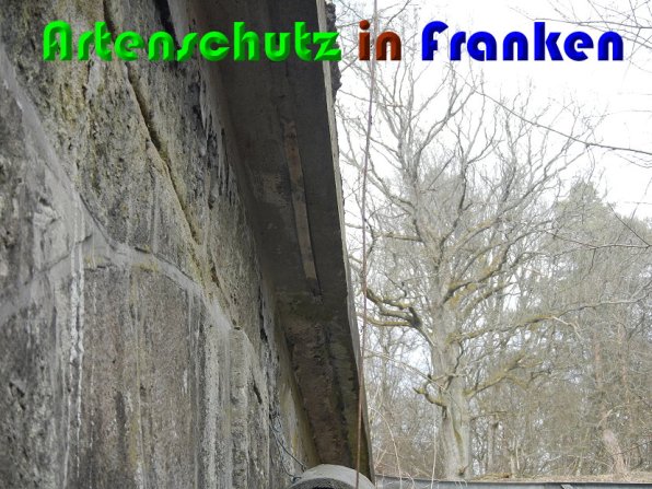 Copyright AiS Lang Bild zum Eintrag (56402-160)