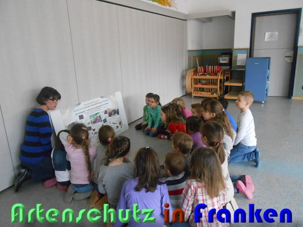 Copyright AiS Utecht - Bauer Bild zum Eintrag (56583-160)