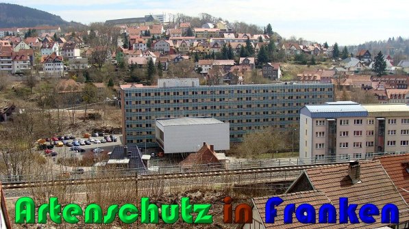 Copyright AiS Lampert Bild zum Eintrag (56807-160)