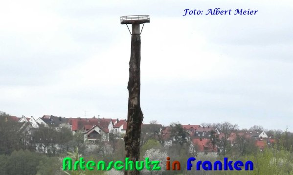 Copyright AiS Albert Meier Bild zum Eintrag (57006-160)