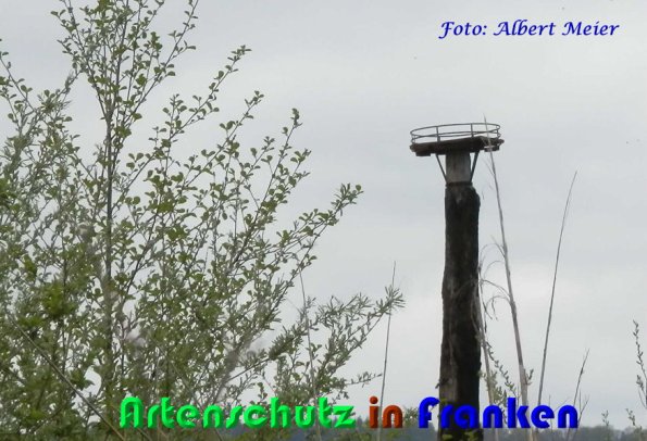 Copyright AiS Albert Meier Bild zum Eintrag (57007-160)