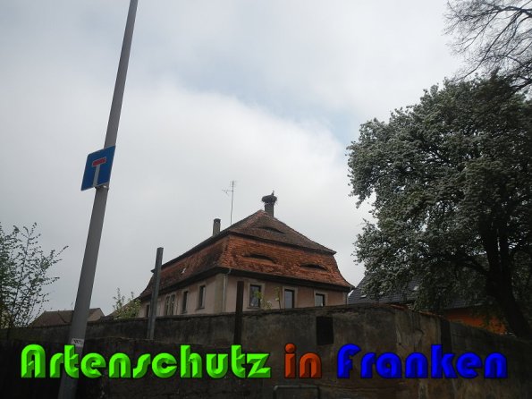 Copyright AiS Reichert Bild zum Eintrag (57264-160)
