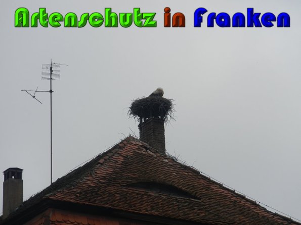 Copyright AiS Reichert Bild zum Eintrag (57265-160)