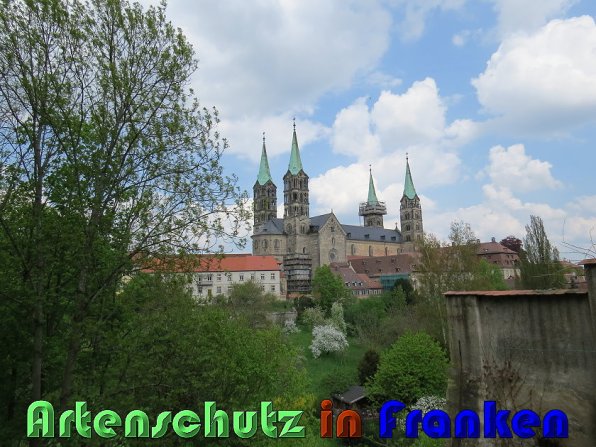 Copyright AiS Bild zum Eintrag (57334-160)
