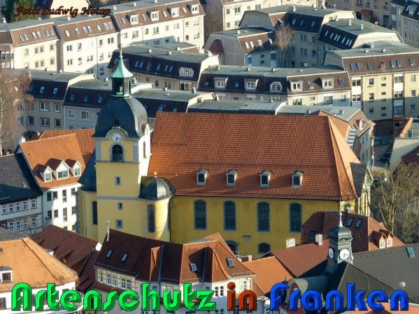 Copyright AiS Ludwig Hotop Bild zum Eintrag (57501-160)