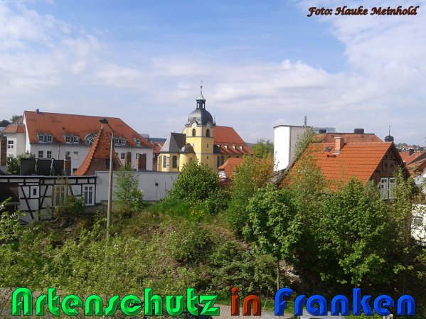 Copyright AiS Hauke Meinhold Bild zum Eintrag (57502-160)