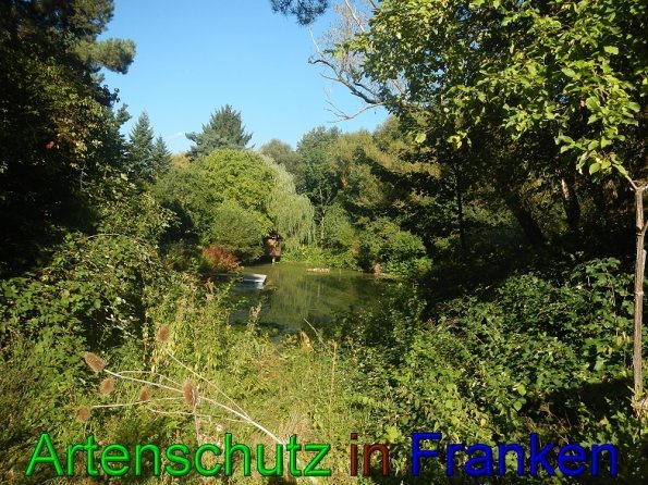 Bild zum Eintrag (57550-160)