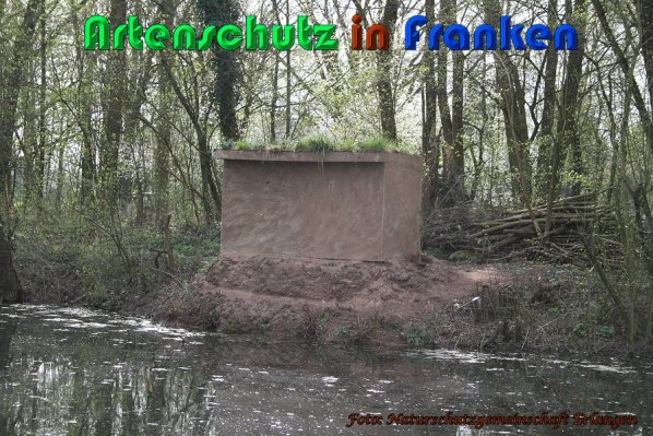 Copyright AiS Naturschutzgemeinschaft Erlangen Bild zum Eintrag (57551-160)