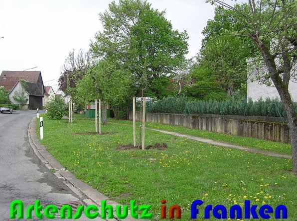 Copyright AiS Kunze Bild zum Eintrag (57610-160)