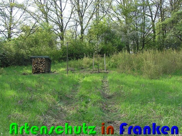 Copyright AiS Kunze Bild zum Eintrag (57613-160)