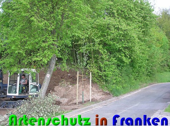Copyright AiS Kunze Bild zum Eintrag (57614-160)