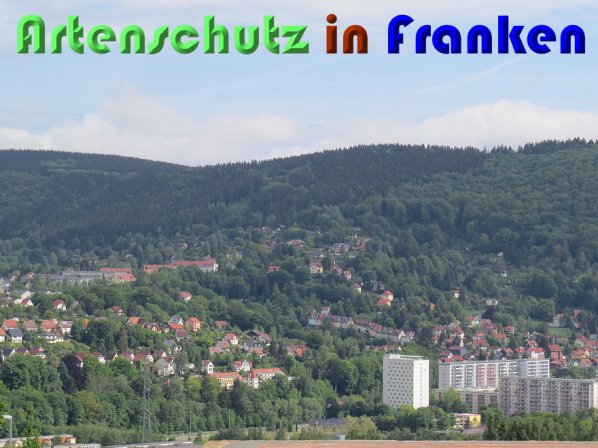 Bild zum Eintrag (58352-160)