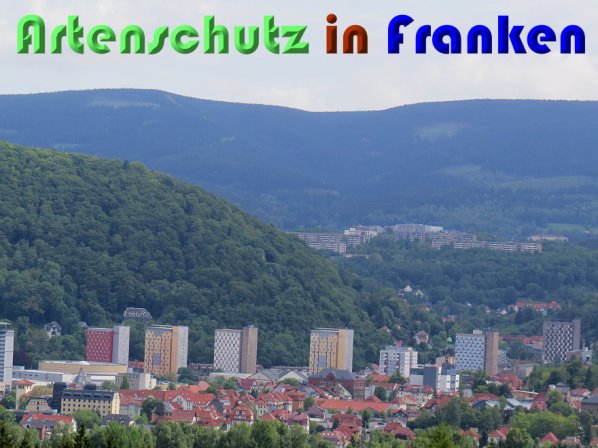 Bild zum Eintrag (58353-160)