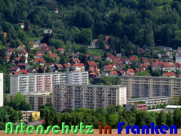 Bild zum Eintrag (58354-160)
