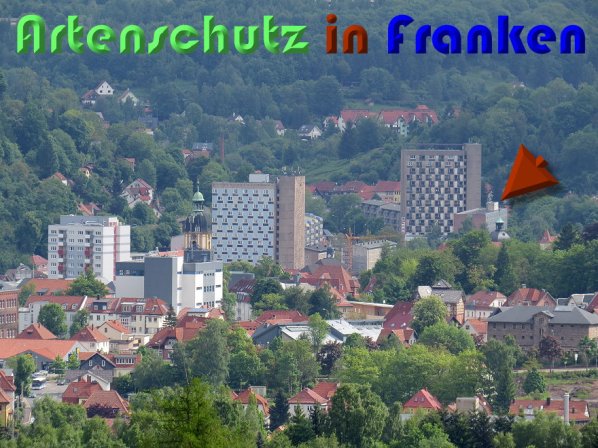 Bild zum Eintrag (58355-160)