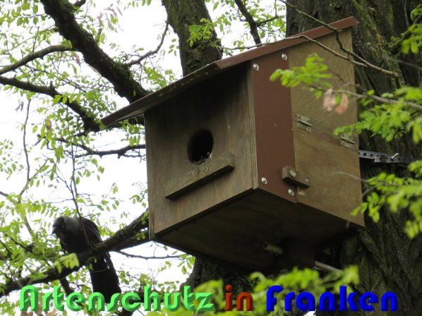 Copyright AiS Christian Neumann Bild zum Eintrag (58411-160)