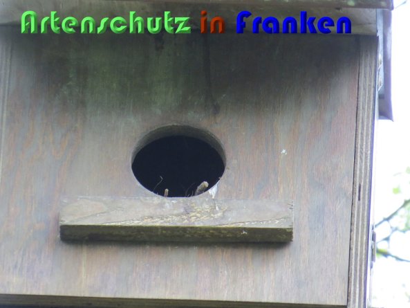 Copyright AiS Christian Neumann Bild zum Eintrag (58412-160)