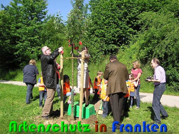 Bild zum Eintrag (58440-160)