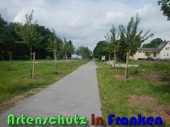 Bild zum Eintrag (58761-160)