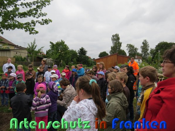 Bild zum Eintrag (59087-160)