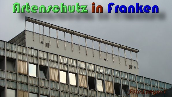 Copyright AiS Lampert Bild zum Eintrag (59612-160)