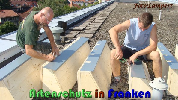 Copyright AiS Lampert Bild zum Eintrag (59613-160)