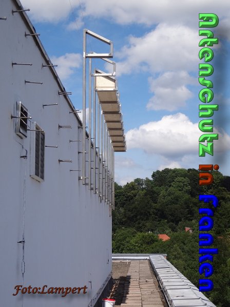 Copyright AiS Lampert Bild zum Eintrag (59614-160)
