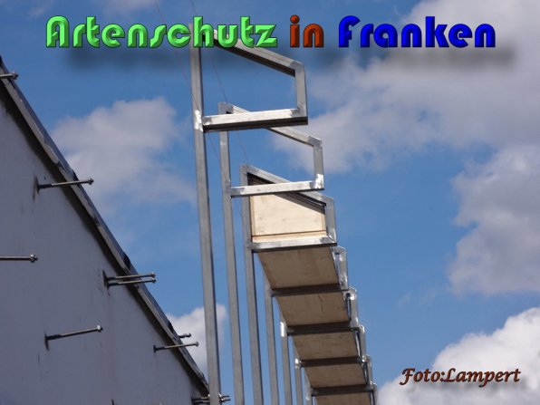 Copyright AiS Lampert Bild zum Eintrag (59615-160)