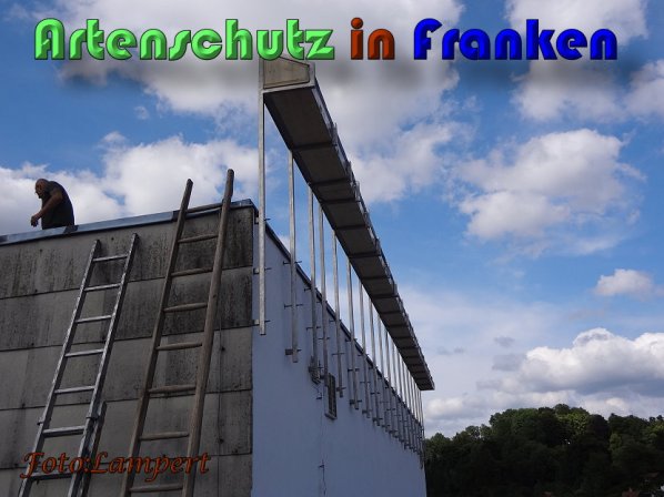 Copyright AiS Lampert Bild zum Eintrag (59619-160)